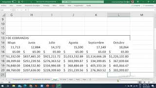 Presupuesto de cobranza con excel [upl. by Ahseuqal]