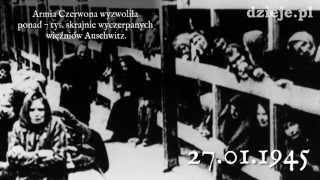 70 rocznica wyzwolenia niemieckiego obozu KL Auschwitz FOTOKAST [upl. by Nyrrad]