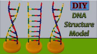 How to Make DNA Structure Model Watson and Crick Deoxyribonucleic Acid Models [upl. by Pittman]