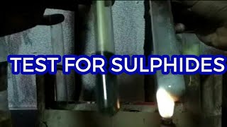 Test for sulphide ions [upl. by Enilrae]