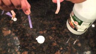 Acids and BasesTesting using litmus paper [upl. by Annmaria]