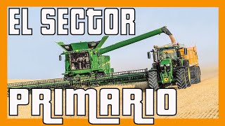 ✅✅✅ ¿Qué es el Sector PRIMARIO ✅✅✅ Explicación [upl. by Polinski632]