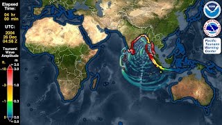 Tsunami Forecast Model Animation Sumatra 2004 [upl. by Liamsi]