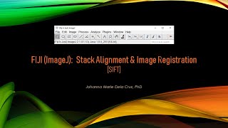 FIJI ImageJ Stack Alignment amp Image Registration SIFT [upl. by Eirojam115]