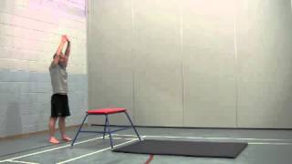 Gymnastics Progressions Through Vault [upl. by Hasan]