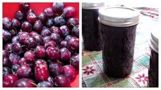 How to make Plum Jam  Canning Done Easy [upl. by Eyks62]