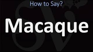 How to Pronounce Macaque CORRECTLY [upl. by Eerolam]