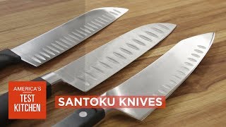 Equipment Review Best Santoku Knives amp Our Testing Winners [upl. by Amo644]