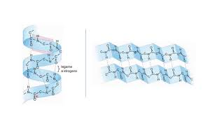 La struttura delle proteine 20200425 [upl. by Ahens553]