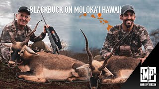 Blackbuck Antelope Molokai Hawaii  Mark Peterson Hunting [upl. by Holly-Anne]