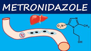 Metronidazole  How it acts  Mechanism side effects and uses [upl. by Ahseinaj103]