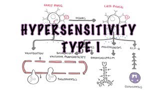 Hypersensitivity Type I reaction Immediate or allergic reaction  pathophysiology [upl. by Ogdan]