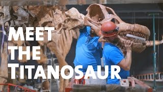 Meet the Titanosaur [upl. by Shewmaker]