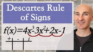 Descartes Rule of Signs [upl. by Naginnarb]