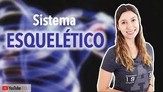 Sistema Esquelético 15 Introdução  Anatomia e etc [upl. by Akienat]