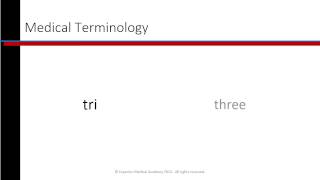 Phlebotomy Lesson 17 Medical Terminology [upl. by Atteuqahc966]