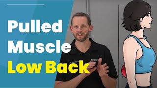 Pulled Muscle In Low Back 3 DIY Treatments [upl. by Robinet]