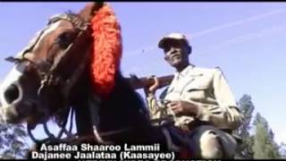 Dejene Jalata  Assaffaa Shaaroo lammii Oromo Music [upl. by Gussie]