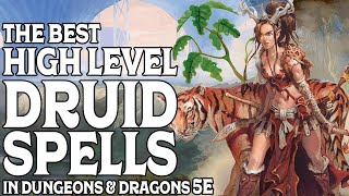 The Best High Level Druid Spells In Dungeons and Dragons 5e [upl. by Moira]