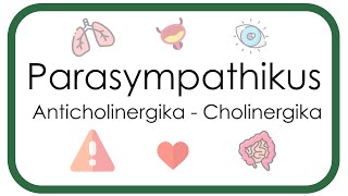 Parasympathikus – Pharmakologie Anticholinergika Atropin Scopolamin  Cholinergika Neostigmin [upl. by Novaelc83]