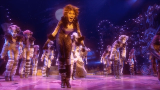 Broadway Montage  Cats the Musical [upl. by Burkhard]