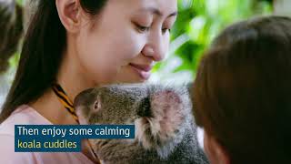 Three Days in Cairns  City Guides  Tourism Australia [upl. by Tteragram138]