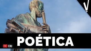 ARISTÓTELES A Poética │ Literatura [upl. by Pacien]