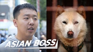 Do All Koreans Really Eat Dog Meat Street Interview  ASIAN BOSS [upl. by Erdnad447]