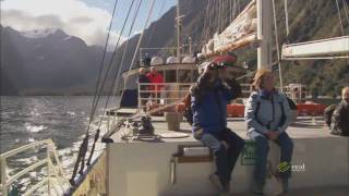 Milford Sound Nature Cruises  Real Journeys New Zealand [upl. by Anirpas]