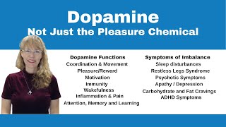 Demystifying Neurotransmitters Serotonin Dopamine and Beyond [upl. by Nabois]