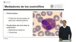 Eosinófilos   UPV [upl. by Eppie]