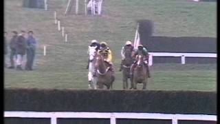 1990 Tingle Creek Limited Handicap Chase [upl. by Eenahs]