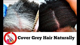 How To Turn White Or Grey Hair Into Black Naturally With No Chemicals Natural Hair Dye Step By Step [upl. by Rosalinda729]