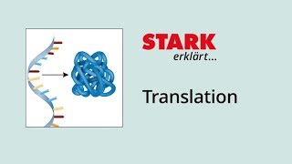 Translation Proteinbiosynthese  STARK erklärt [upl. by Lehcsreh]