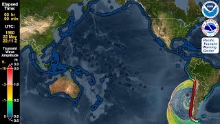 Tsunami Forecast Model Animation Chile 1960 [upl. by Sophi]