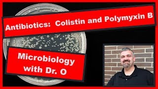 Colistin and Polymyxin B Microbiology [upl. by Johm607]