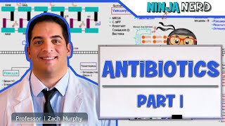 Antibiotics Cell Wall Synthesis Inhibitors Part 1 [upl. by Naenej335]