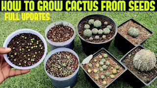 Grow Cactus From Seed100 SUCCESS RATE [upl. by Ashti]