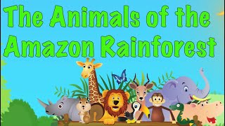 The Animals of the Amazon Rainforest for kids [upl. by Voss]