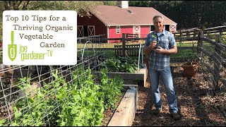 Top 10 Tips For a Thriving Organic Vegetable Garden [upl. by Shel124]