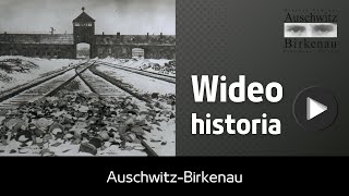 Wideo historia  AuschwitzBirkenau [upl. by Grayson]