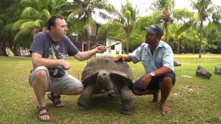 Giant tortoises of the Seychelles [upl. by Allerbag]