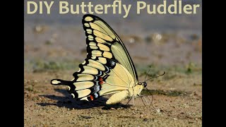 DIY Butterfly Puddler [upl. by Birdt715]