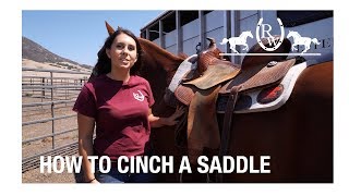 How to Cinch a Saddle [upl. by Vish]