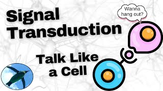 Basic Signal Transduction Ligands and Receptors [upl. by Lia]