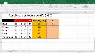 Calculer un POURCENTAGE avec EXCEL Cours Office en français [upl. by Volnay]