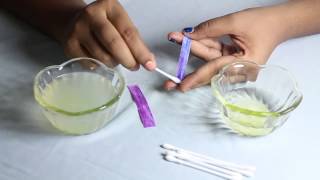 Make Your Own Litmus Paper at home by Smrithi [upl. by Ruthven82]