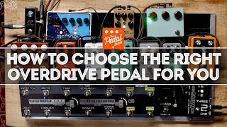 How To Choose The Right Overdrive Pedal For Your Needs – That Pedal Show [upl. by Asiluy829]