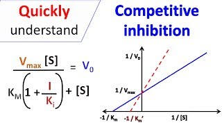 Competitive inhibition [upl. by Airetnuhs44]