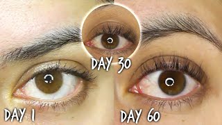 60 Days Using Castor Oil For Eyelash Growth Results WITH ROSEMARY [upl. by Maltz]